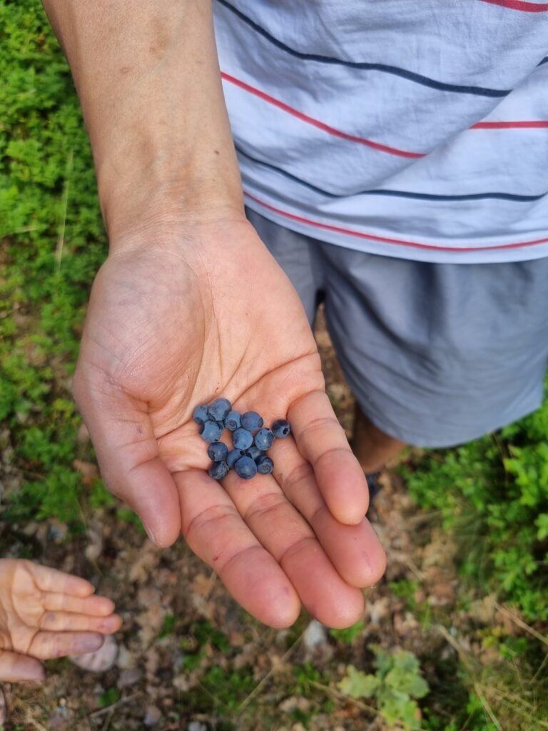 日常の生活風景の写真。夫婦でお金の話を日常にするイメージとして使用。