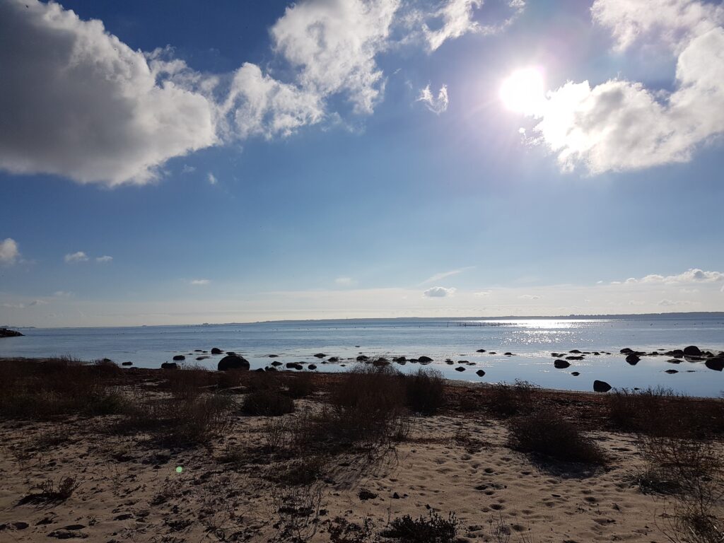 静かな海に光が差す風景。挫折から立ち直る前の静かな停滞と、わずかな希望を象徴する写真。