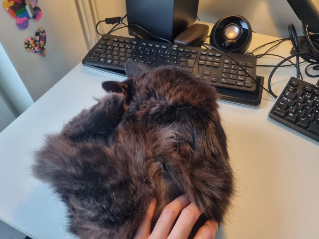 デスクでくつろぐ猫の写真。投資スタイル 変遷、心理的側面を表すイメージとして使用。