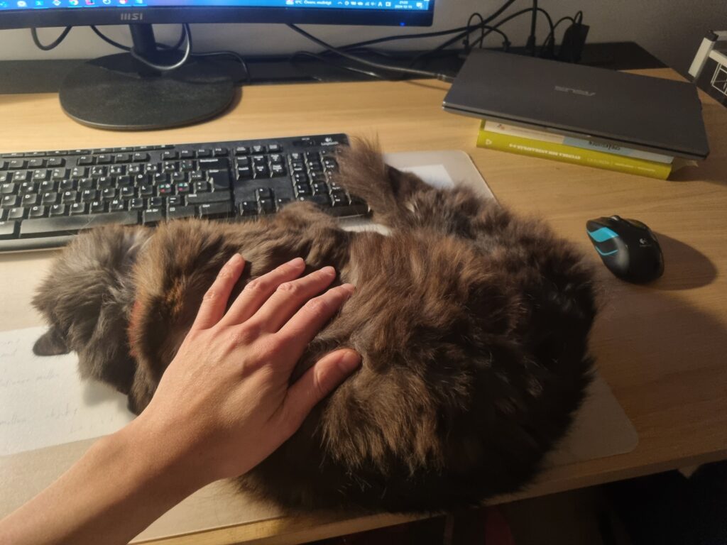 デスクでくつろぐ猫の写真。固定費削減、家計管理で未来を整えるイメージ。