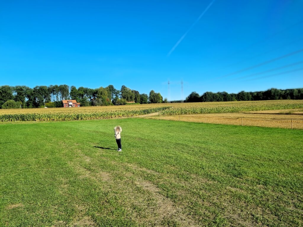 スウェーデン 無理をしない生き方 を象徴する、自然の中でのびのび過ごす子どもの写真。